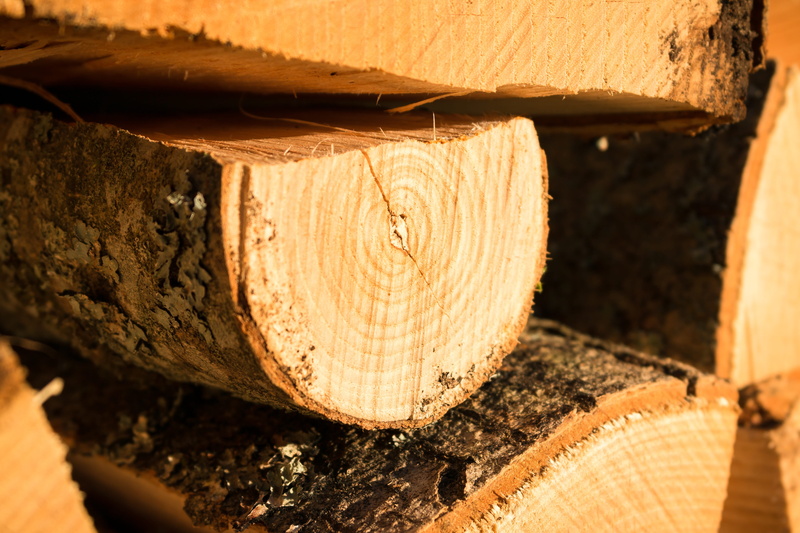outdoors, bark, nature, deforestation, timber, forest, fuel and power generation, lumber industry, day, wood grain, tree, storage, growing stock, rough