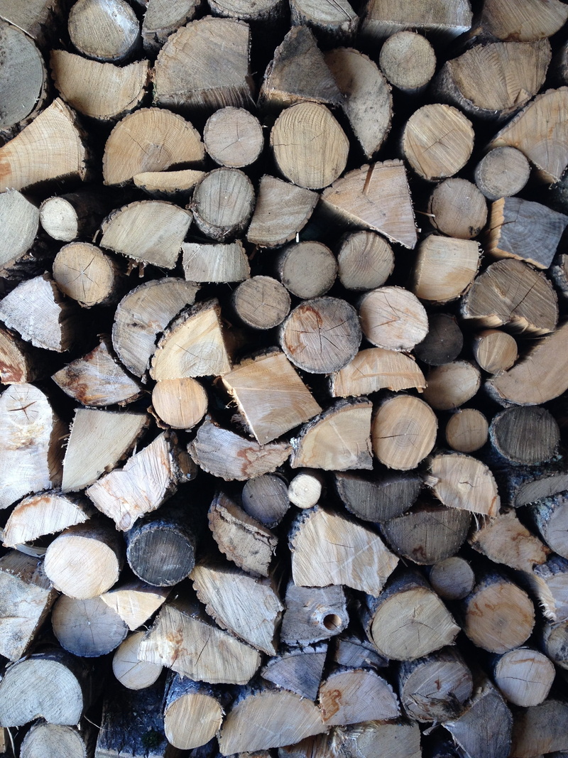 wood grain, timber, texture, large group of objects, deforestation, heap, firewood, trunk, brown, forestry, split, outdoors, forest, energy, fire, backgrounds