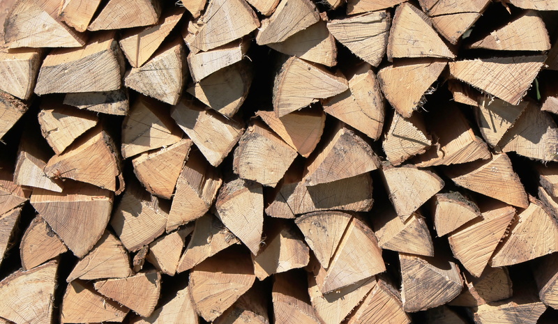 Wood, deforestation, tree, 4K, wood - material, growing stock, log, pattern, large group of objects, backgrounds, lumber industry, Firewood, abundance