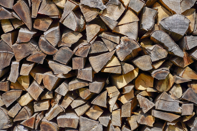 stacked, tree, background, tree trunks, structure, drawing, decorative, heap, outdoors, 5K, wood - material, brown, pattern, backgrounds, nature, stacked up