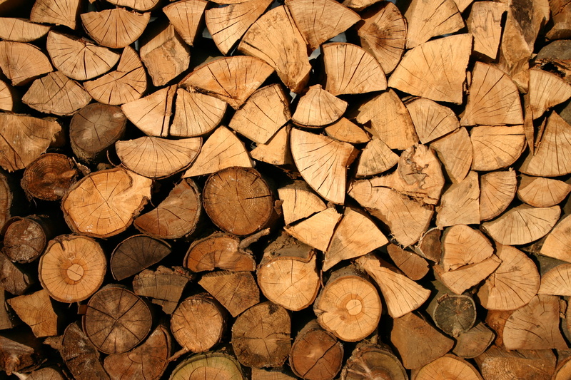 pattern, forestry, wood - material, textured, large group of objects, trunk, chopped, firewood, wooden, logs, brown, fuel and power generation, sustainable resources