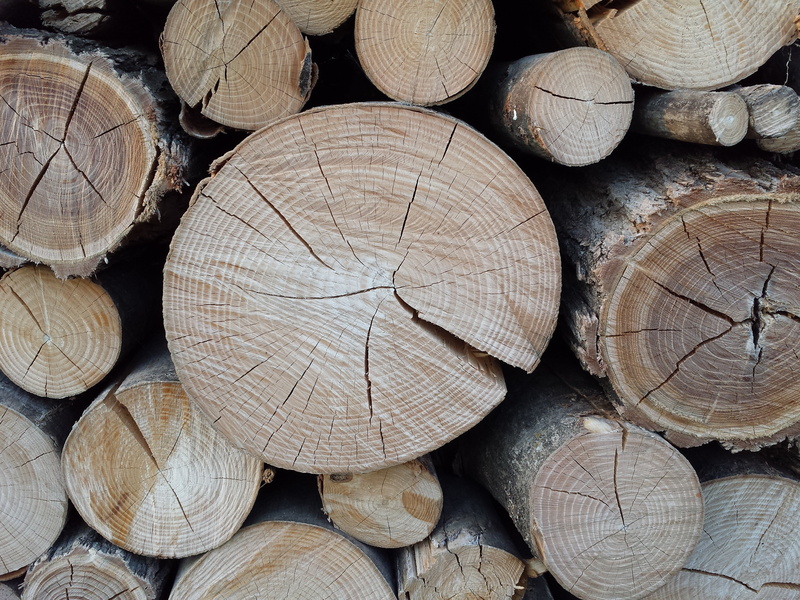 stack, tree Trunk, wood, textured, brown, material, timber, trunk, log, forest, close-up, full frame, woodcutter, trees, no people, nature, abundance, deforestation