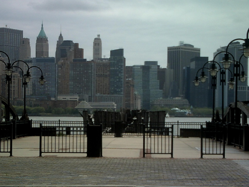 animals, gate, view, gates, 1080P, metal, water, nyc, black