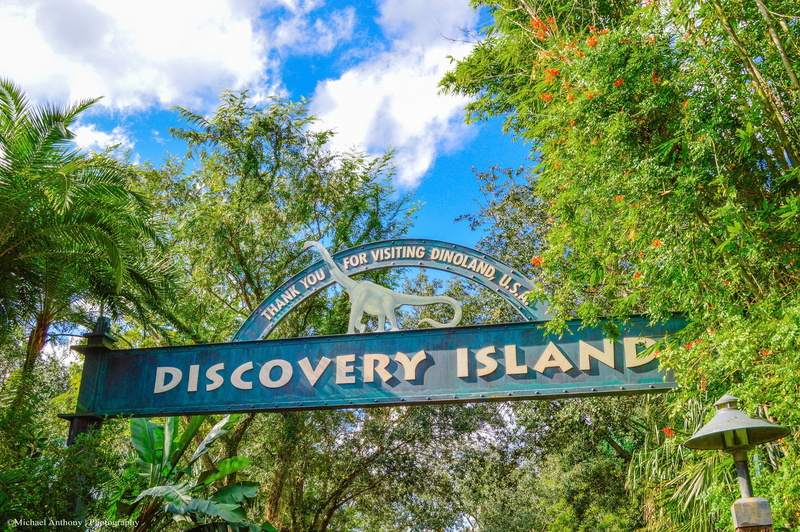 carousel, storehouses, offices, 1080P, hotel, cities, castel, florida, towers, disney, entertainment, light, resort, floride, stores, mickey, parc, childrens