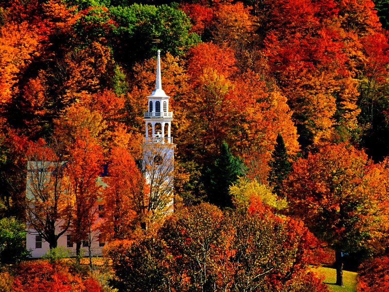 Fall, Forest, Religious, Foliage, 720P, Tree, Churches, Church
