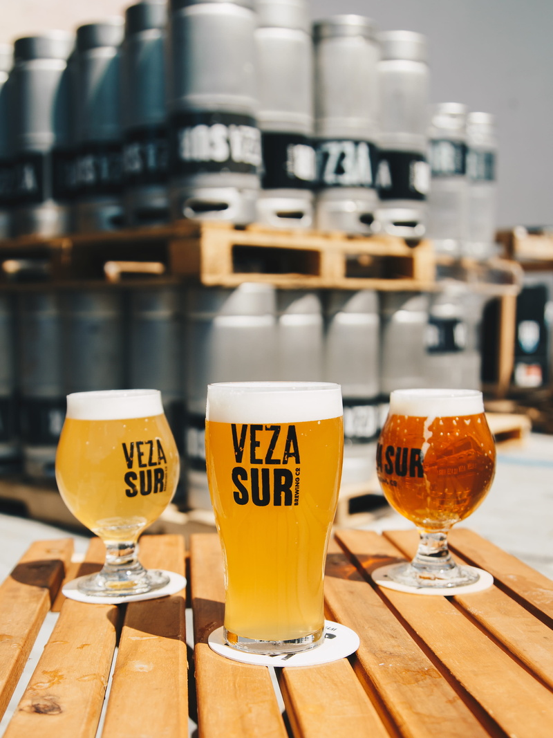 still life, freshness, ale, glass, three, cold, foam, keg, indoors, no people, pub, drinking, in a row, focus on foreground, wood - material, glasses, refreshment