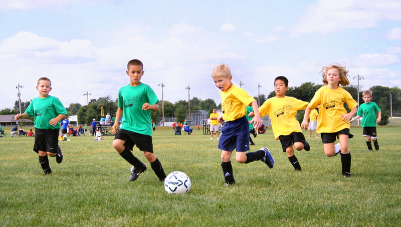 sports clothing, sports, football match, clothing, soccer ball, team, lawn, child, sportswear, sports equipment, team of young footballers, ball, soccer team