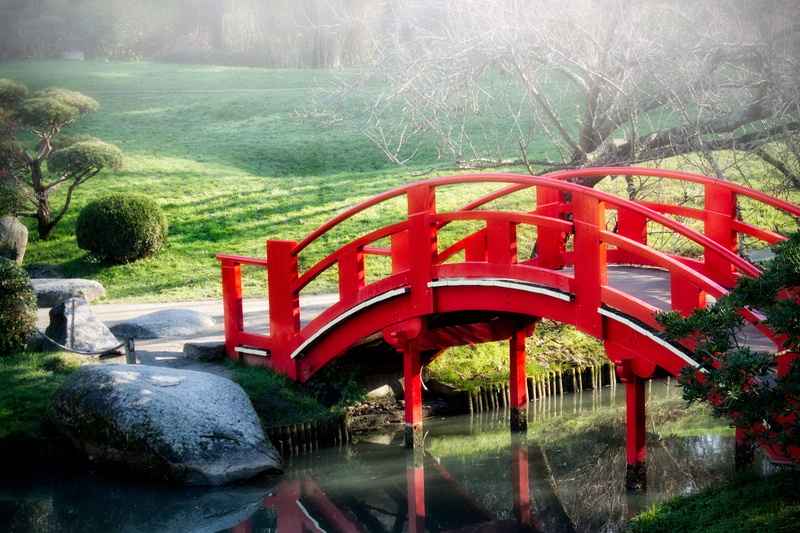 toulouse, park, garden, connection, footbridge, bridge - man made structure, 2K, growth, outdoors, green color, nature, built structure, formal garden