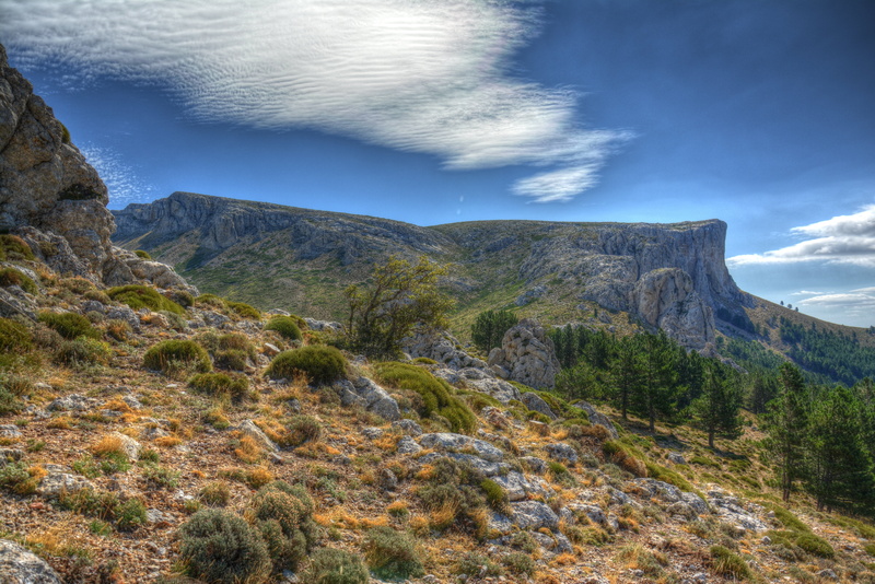 mountain peak, landscape, land, bell pepper, moncayo, saragossa, nature, cloud - sky, non-urban scene, coniferous tree, mountain, 5K, sky, rock - object