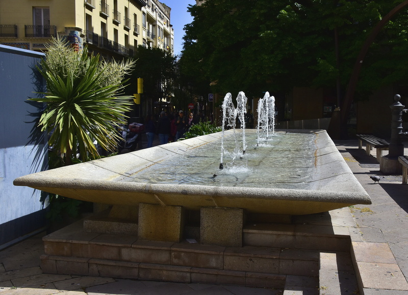 fountain, tropical climate, nature, plant, no people, spraying, palm tree, architecture, stone, park, saragossa, water, building, house, outdoors, tree