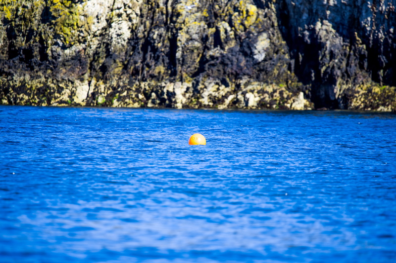 sea, land, howth, sunlight, outdoors, floating on water, rocks, nature, yellow, activity, surface level, no people, single object, 5K, water, plant, ball