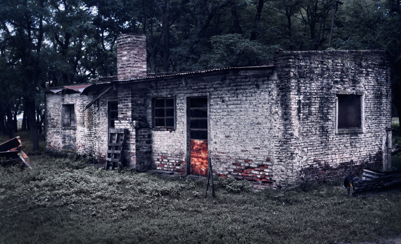 brick, plant, entrance, land, broken, building, house, ruin, ruined, day, outdoors, nature, old, no people, built structure, architecture, building exterior
