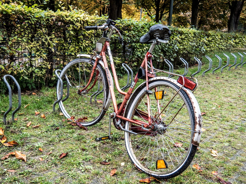 tree trunk, day, outdoors, urban, abandoned, impaired, wheel, broken, grass, growth, rusty, cycling, park, handlebar, old, parking, nature, bicycle, munich