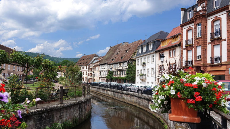 channel, 5K, building, beauty in nature, nature, travel destinations, vineyards, flowering plant, city, plant, half-timbered houses, no people, wissembourg