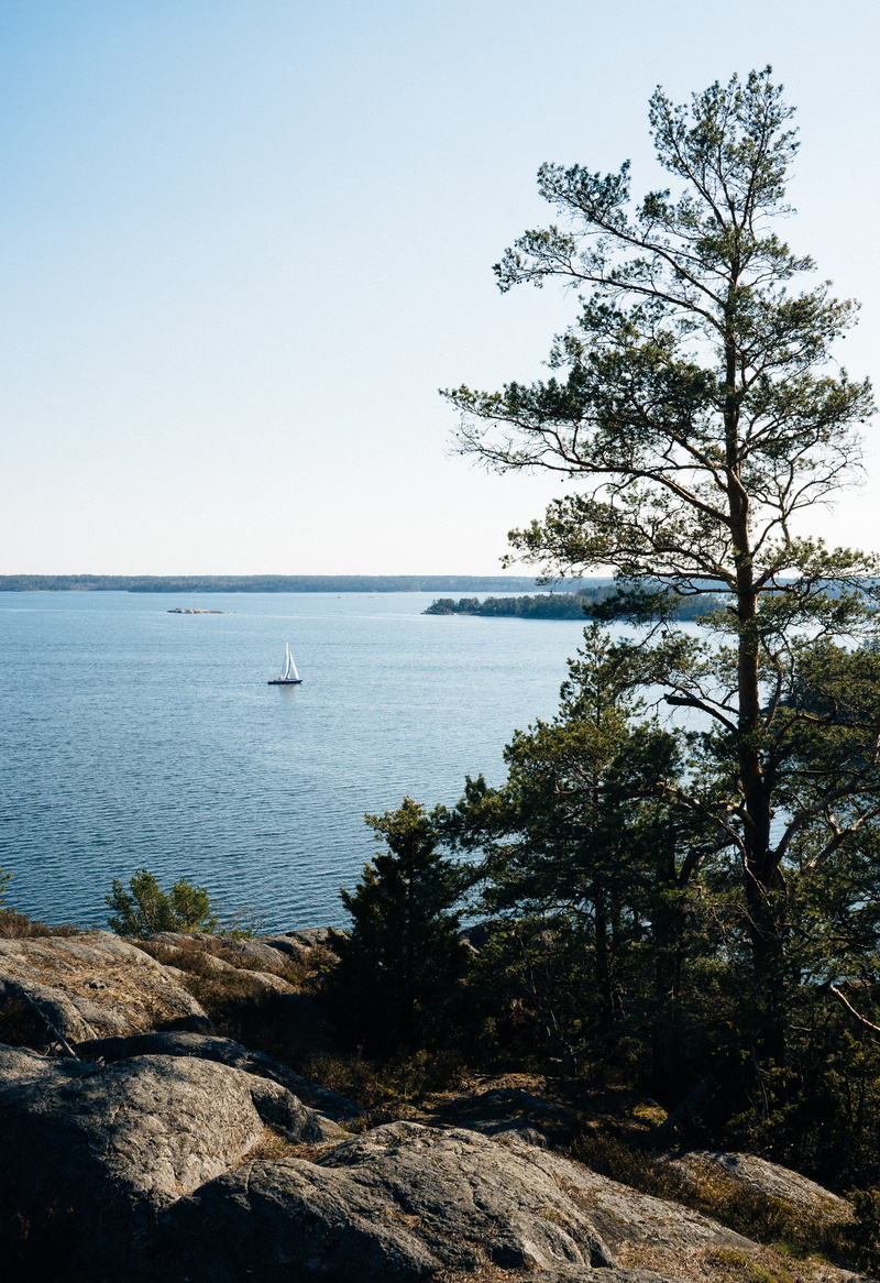 fir, sky, tranquility, boat, no people, land, tranquil scene, tree, horizon, beauty in nature, clear sky, coast, stockholm, outdoors, horizon over water