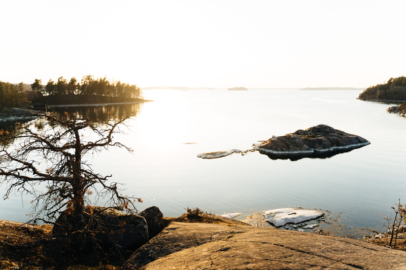 wood, sea, body, day, beauty in nature, stockholms län, animal, coast, bird, beach, suède, reflection, stockholm, rock, shoreline, plant, water, 5K, calm