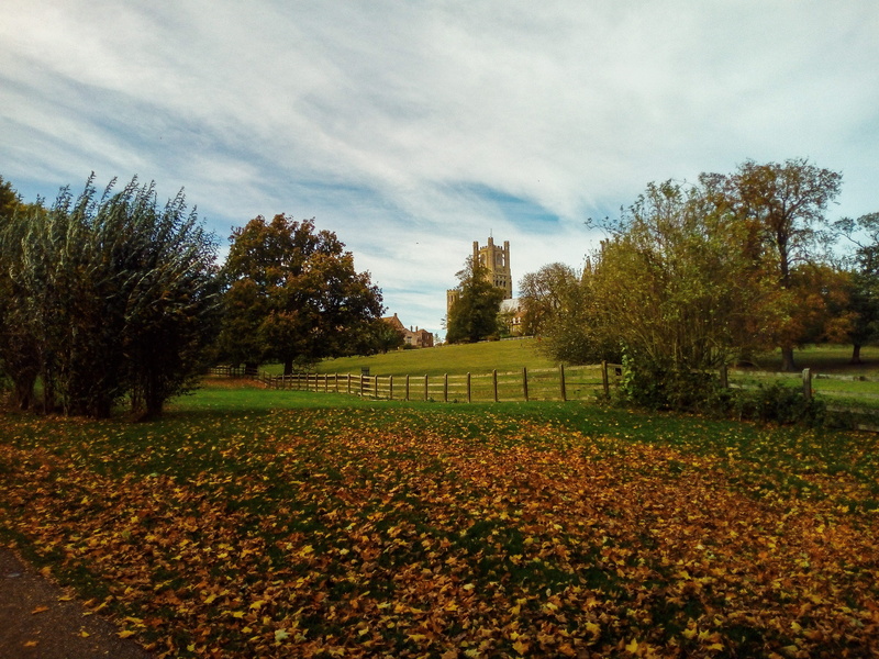 church of england, sky, land, atum in, tranquility, elle way, gothic, 4K, growth, tree, landscape, beauty in nature, anglican, england, leaf, tranquil scene