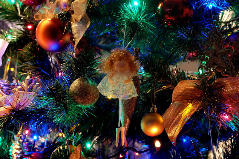 night, christmas lights, holiday, christmas decoration, decorate, celebration event, no people, decoration, close-up, plant, indoors, celebration, tree