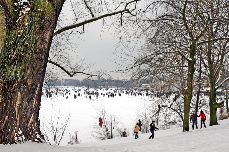 eisvergnügen, lifestyles, branch, frozen, eiszauner, nature, hamburgensien, 4K, land, inspiration, winter, hamburg, non-urban scene, the winters tale