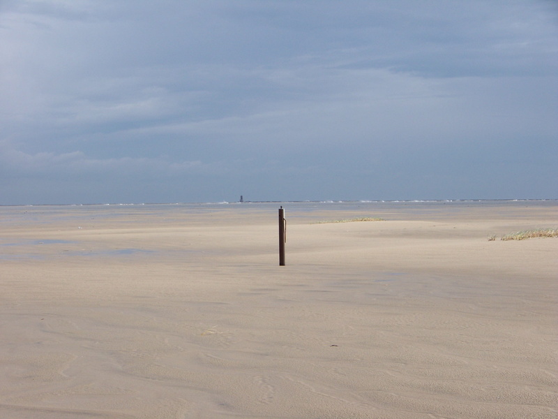 sand, blanker hans, beauty in nature, north sea coast, tranquil scene, tides, wangerooge, water, Wadden Sea, east frisia, tranquility, land, animal, beach