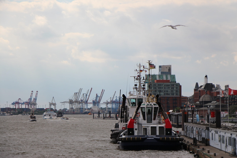 flying, hamburg, machinery, building exterior, hanseatic city, mode of transportation, animal themes, transportation, bird, port city, harbour cranes, animal wildlife