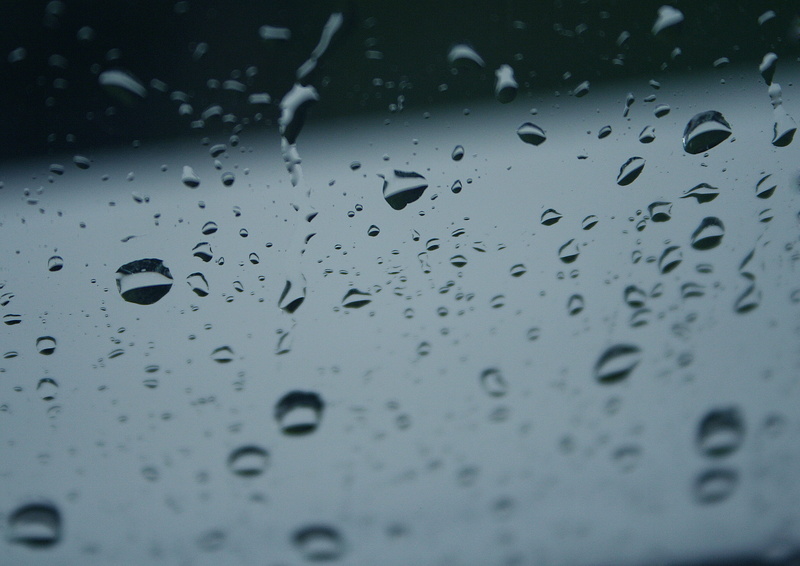 Drops, drops of water, backgrounds, rainy weather, rain, Water-Drop, water, macro, wet, Rain, drop, rainy season, 2K, nature, raindrop, selective focus