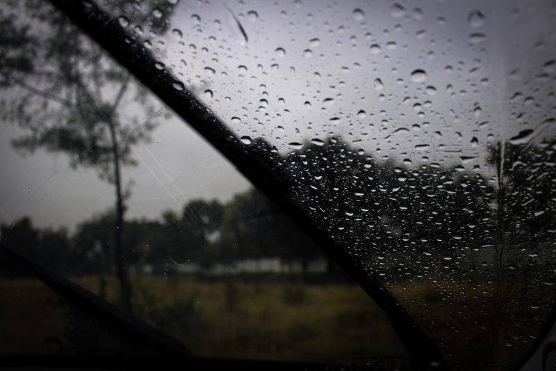 glass, rain, water, plants, focus on foreground, close-up, transportation, mode of transportation, vehicle interior, nature, forest, dark, environment