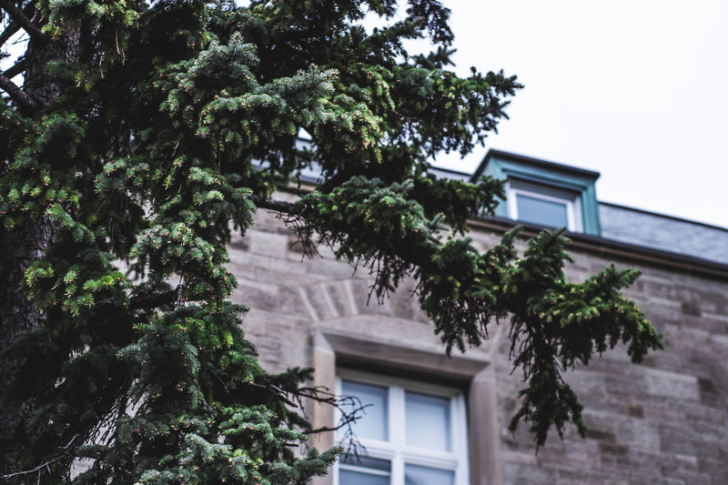 architecture, day, residential district, university, design, clear sky, growth, rustic, trees, university of toronto - st. george campus, dark, outdoors