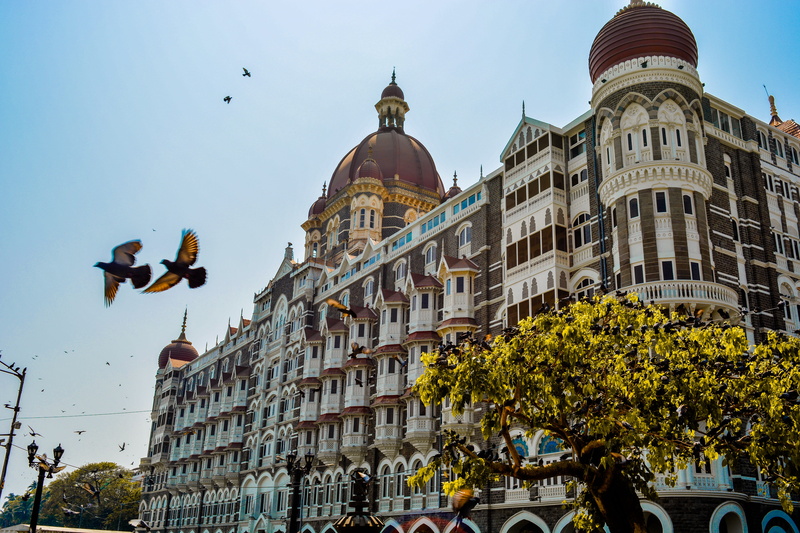 mumbai, travel destinations, architecture, monument, dome, travel, spirituality, vertebrate, building exterior, nature, government, plant, day, city, low angle view