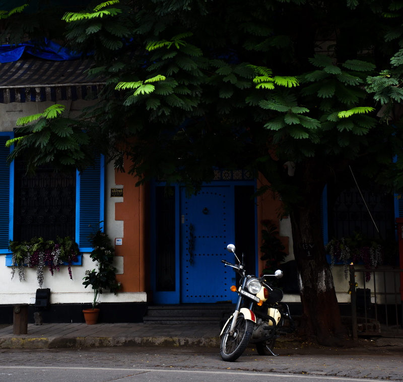 blue, bombay, bike, growth, tree, wheel, motor, vehicle, facades, machine, day, green, city, 2K, house, mode of transportation, building, streets, motor scooter
