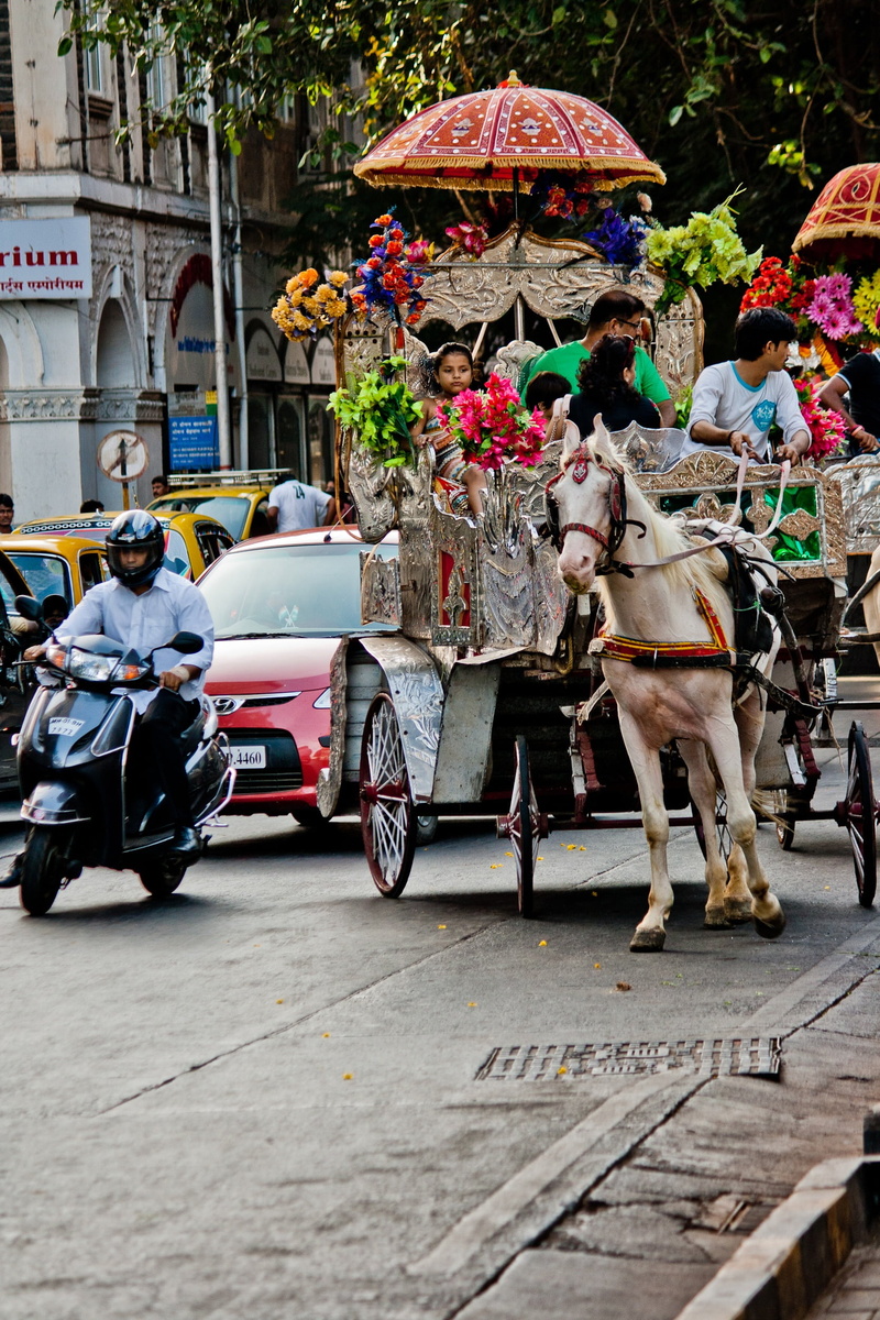 pets, traffic, adult, domestic animals, city, people, victorian, day, urban Scene, mode of transportation, horse carriage, mammal, asia, bombay, group of people