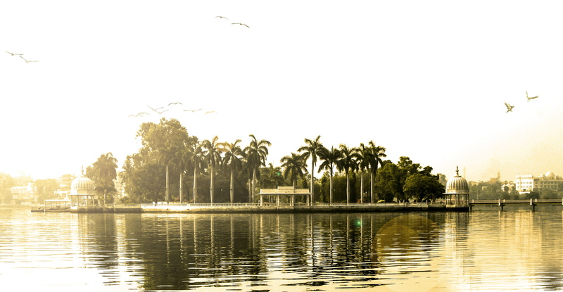 landscape, india, flare, artificial, outdoors, visitation, scenics - nature, trees, reflection, water, sky, nature, lake, day, tree, palm tree, green, clear sky