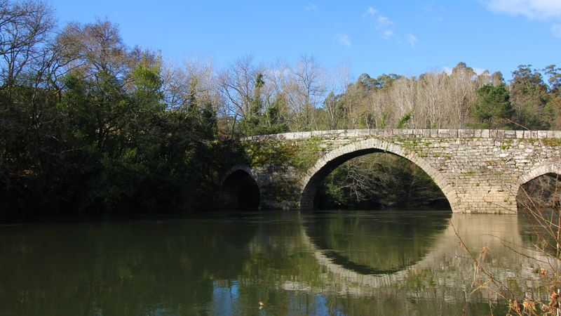 architecture, tree, arch, tui, arch bridge, no people, galicia, miño, bridge, clear, romanesque, water, sky, arched, reflection, day, vinho, landscape