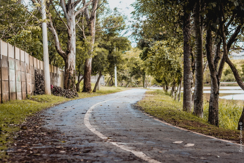 trail, direction, eventide, stone, spain, the way santiago, 5K, two paths, path, day, bridge, surface level, tranquility, tranquil scene, walk, treelined