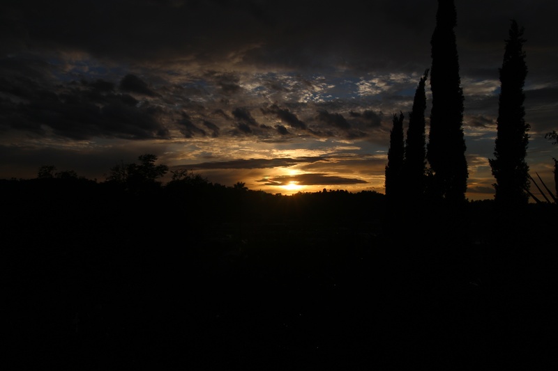 plant, sun, 5K, idyllic, orange, cielo, tree, sunrise, dramatic sky, outdoors, sky, view, no people, scene, sol, evening, outdoor, blue, scenics - nature