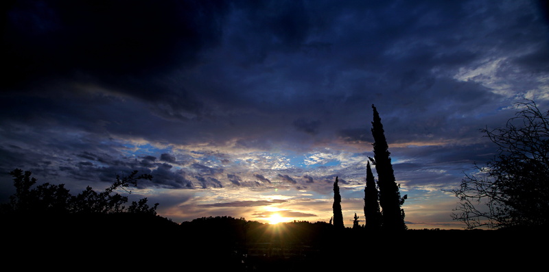 horizin, sky, plant, no people, meadow, dramatic sky, beauty in nature, tree, orange color, tranquility, idyllic, blue, outdoors, nature, sun, land, sunlight