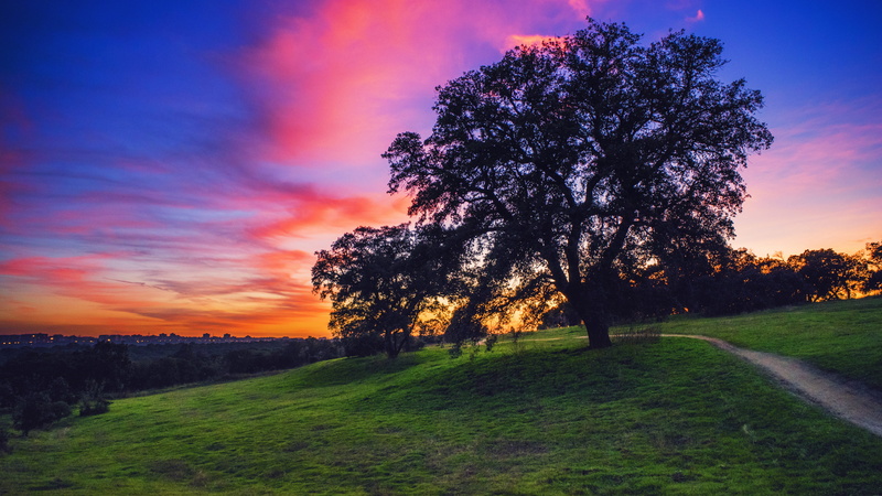 landscape, sunset, spain, madrid, beauty in nature, outdoors, 5K, orange color, grass, idyllic, nature, landsacpe, land, park, environment, tranquility