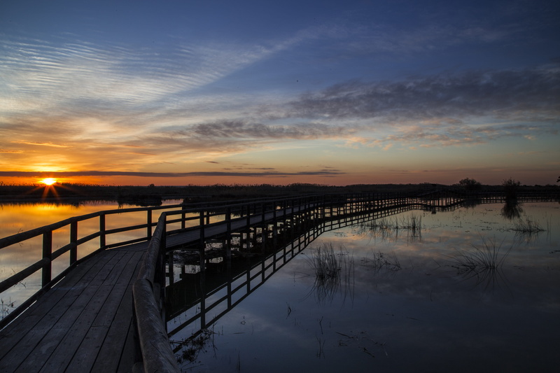 cloud - sky, orange color, lake, railing, idyllic, elche, tranquil scene, tranquility, reflection, non-urban scene, natural park, spain, scenics - nature