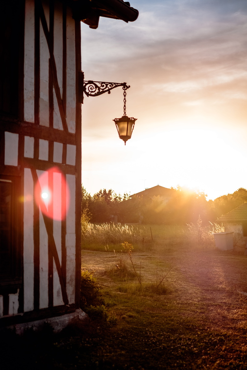 beauty in nature, summer, hanging, red, grass, golden hour, orange, lighting, aube, plant, tree, country, building exterior