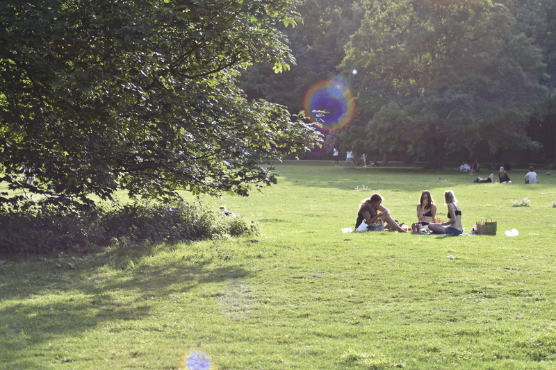 berlin, beauty in nature, park - man made space, people, germany, nature, adult, plant, 5K, sitting, outdoors, growth, leisure activity, sunlight, real people