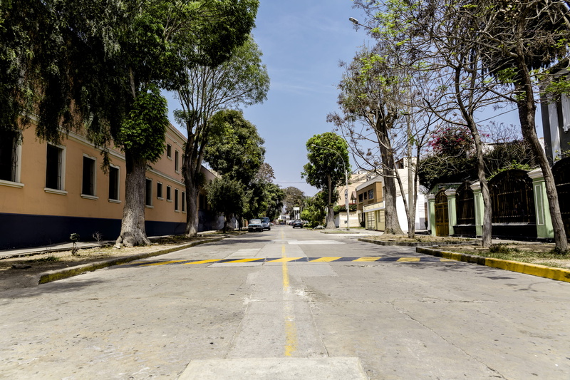 barranco district, diminishing perspective, marking, architecture, vacias, plant, treelined, tree, building exterior, empty street, the way forward, road marking