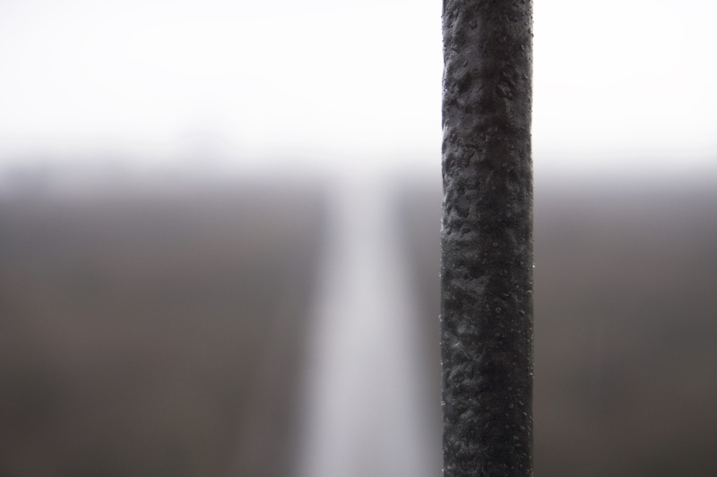focus on foreground, outdoors, day, tree, copy space, close-up, scenics - nature, 5K, environment, motion, tree trunk, selective focus, land, berlin, plant