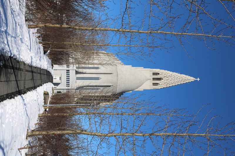 spire, iceland, branch, sky, building, obelisk, bare tree, path, tree, nature, pillar, winter, road, tower, day, monument, low angle view, clear sky, bell tower
