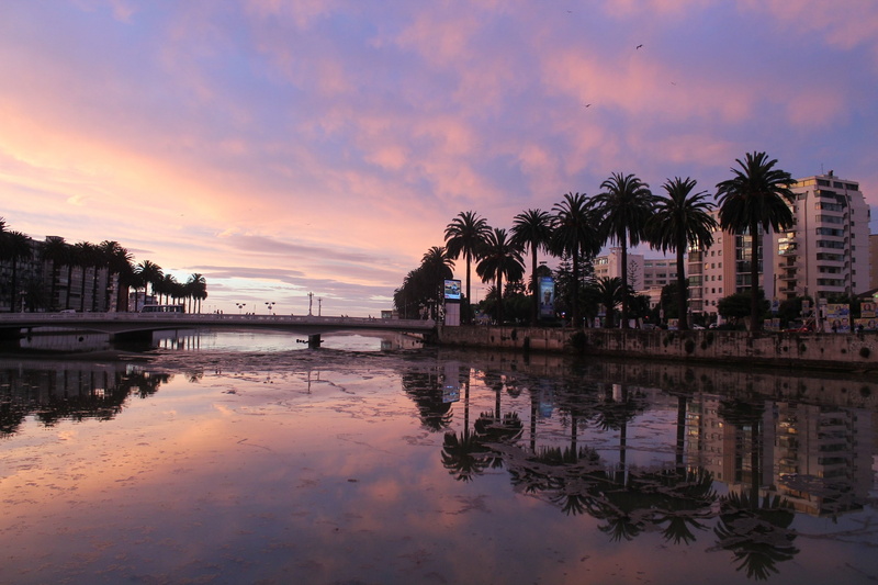 Vina del Mar, clouds, palm trees, swimming pool, photography, water, sunset, no people, waterfront, nature, Chile, building, river, reflection, beauty in nature