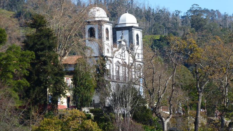 no people, travel destinations, building exterior, travel, Funchal, tree, ancient, built structure, nature, tower, religion, place of worship, architecture