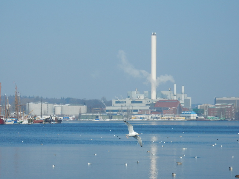 nature, flensburg, air pollution, 4K, factory, smoke stack, travel, animal, animals in the wild, bird, building, animal wildlife, mood, industry, blue