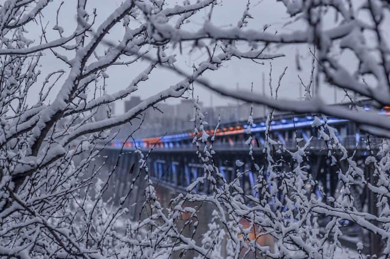 focus on foreground, bare tree, tree, blue, cold temperature, plant, architecture, moody, selective focus, winter, alberta, frozen, outdoors, high level bridge