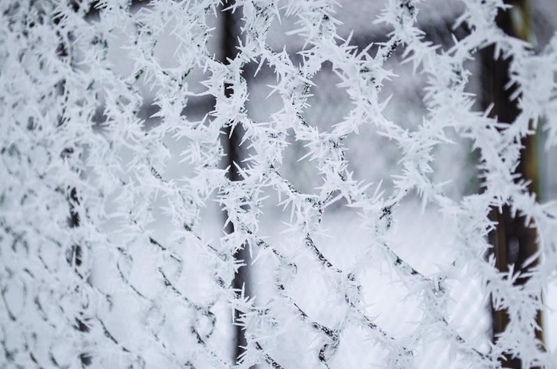 cold temperature, macro, frozen, leann, white color, icicle, backgrounds, no people, full frame, silence, pattern, white, zing, close-up, cold, 4K, window