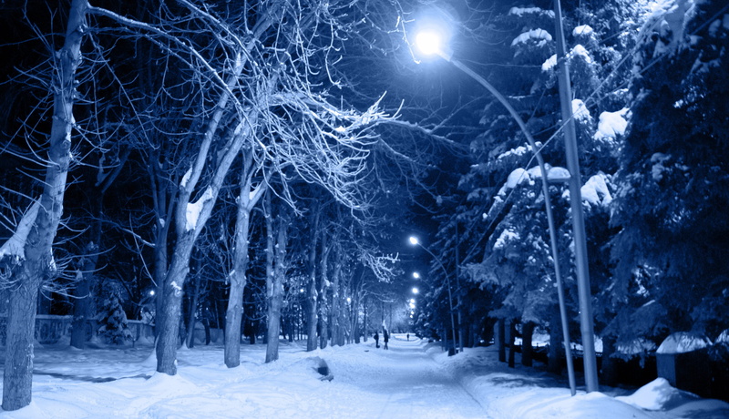 environment, woodland, no people, frost, city, trees, land, night city, russia, winter, lantern, field, tree, snowing, two, frosty city, extreme weather