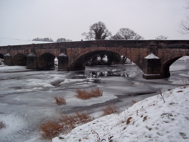 plant, connection, ze, cold temperature, flowing water, frozen, climate, sky, architecture, snow, tranquility, bridge - Man Made Structure, snowfall, scenic